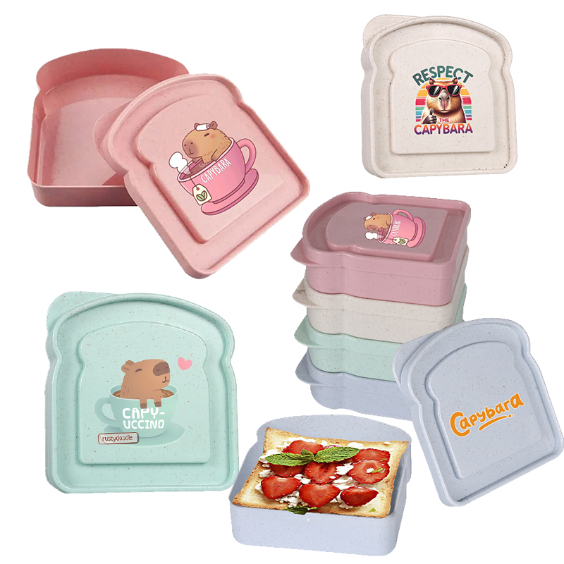 Capybara Sandwich Food Storage - Food Storage System 리뷰 및 가격
