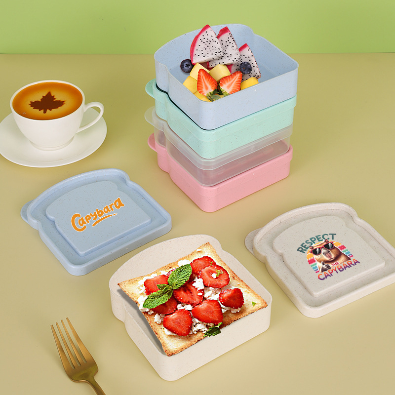 Capybara Sandwich Food Storage - Food Storage System 리뷰 및 가격