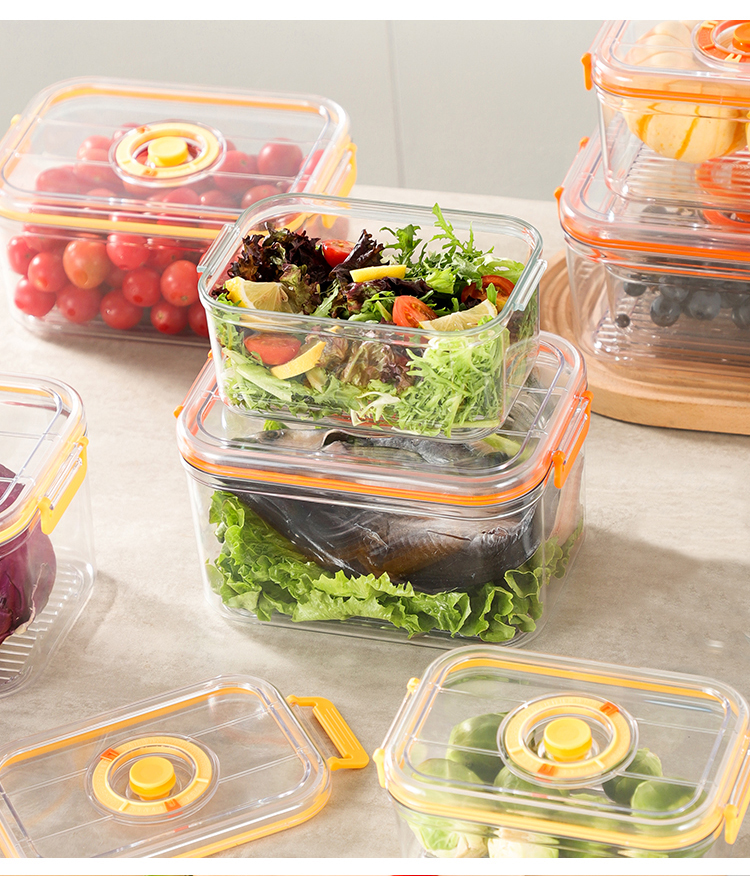 Vacuum Fresh-keeping Box Refri - Food Storage Vacuum Seal 리뷰 및 가격