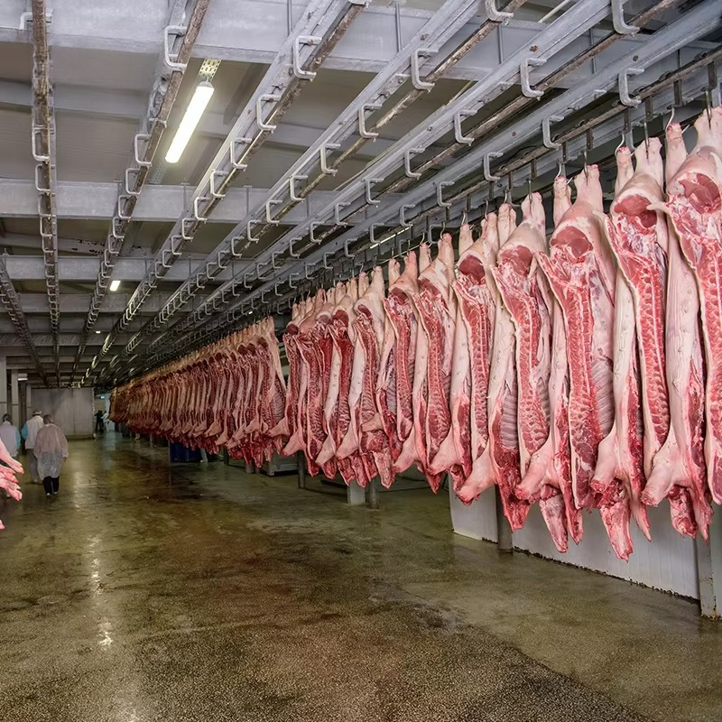 Cold Storage Room Slaughter Ho - Food Storage In Room 리뷰 및 가격