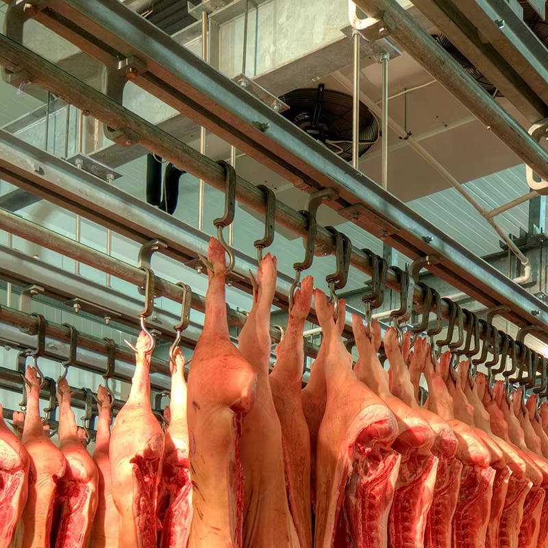Cold Storage Room Slaughter Ho - Food Storage In Room 리뷰 및 가격