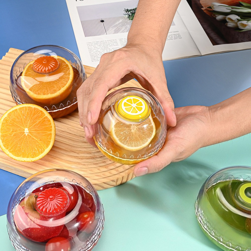 Vegetable Fruits Airtight Cris - Food Storage System 리뷰 및 가격