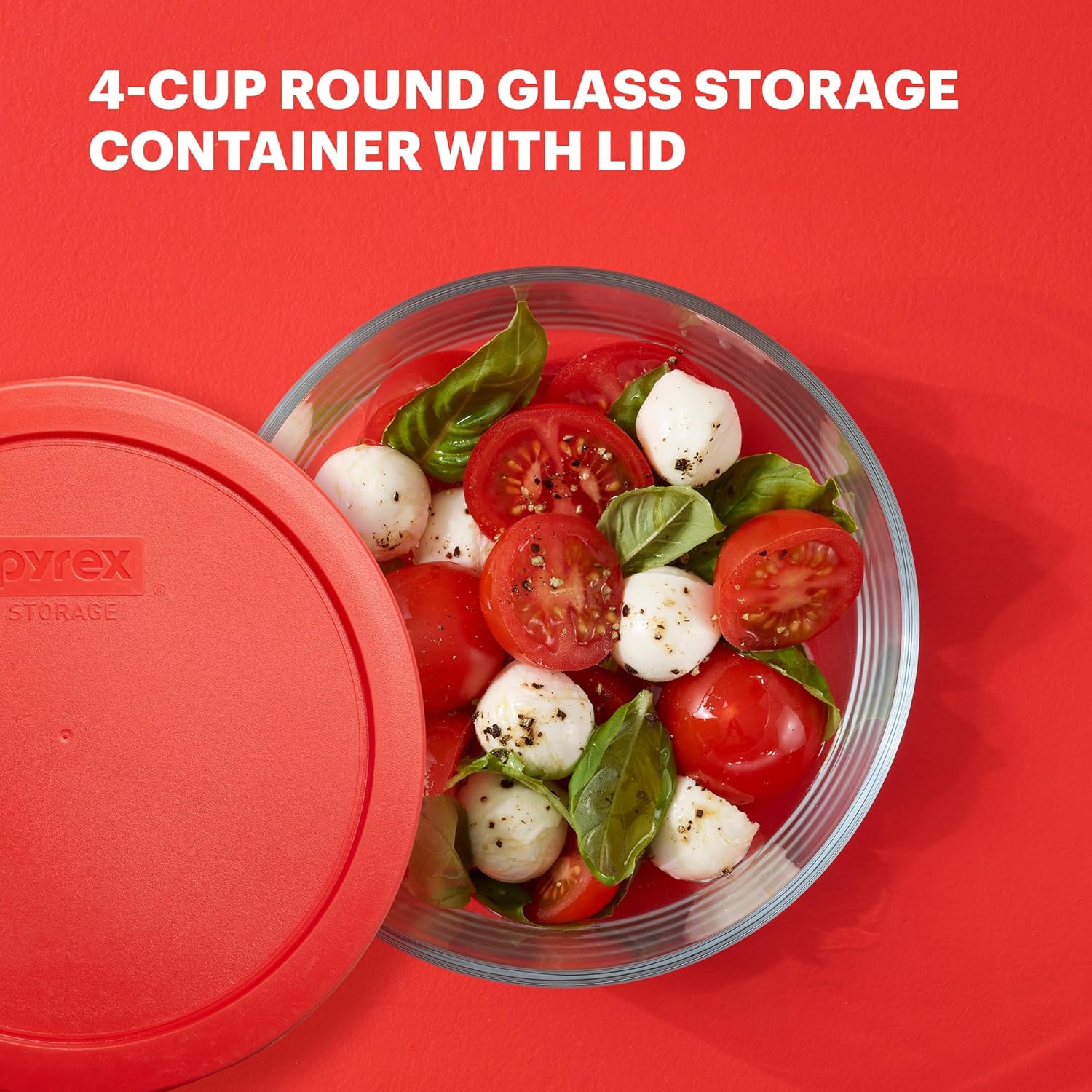 Glass Food Storage Container 4 - Food Storage Safe 리뷰 및 가격
