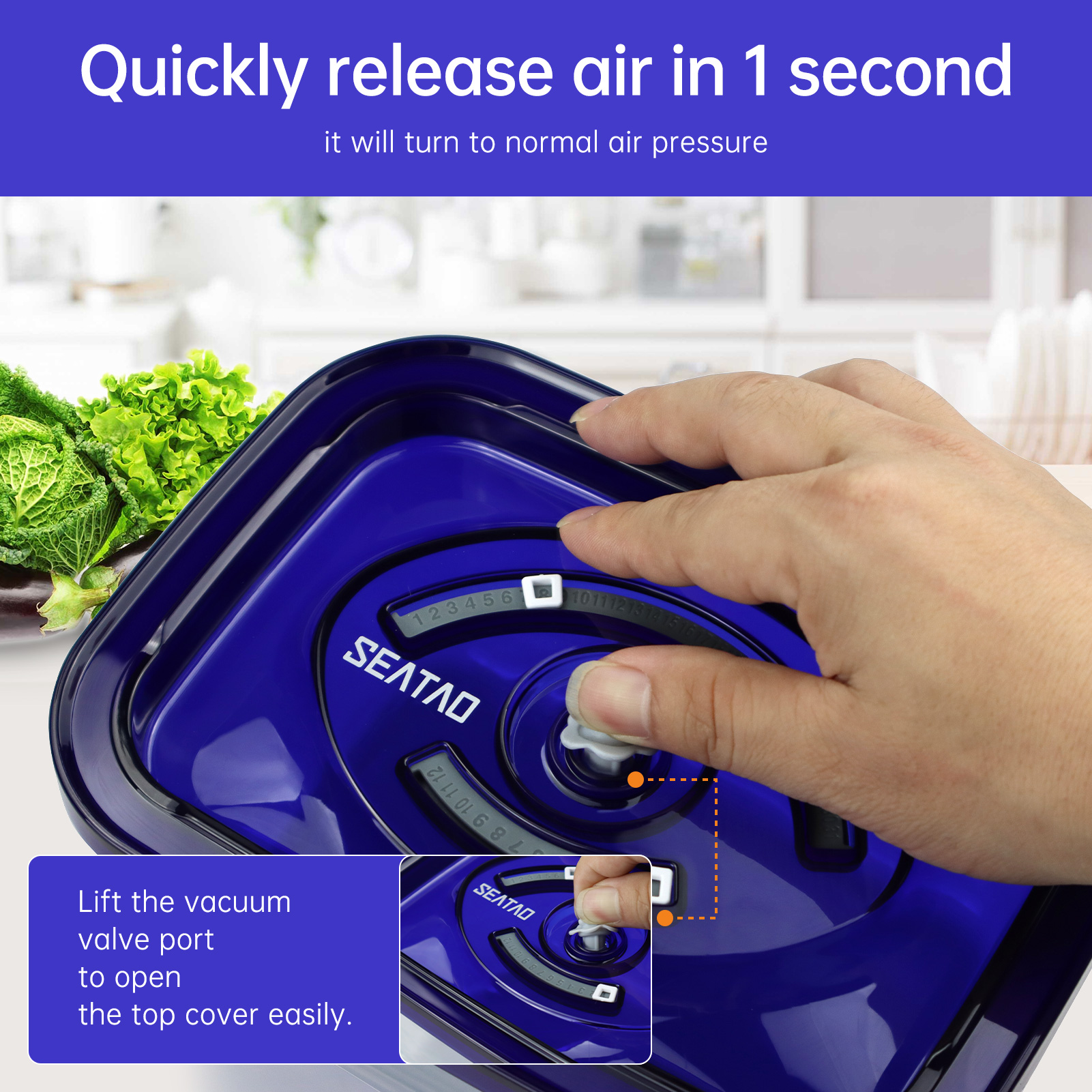 SEATAO Glass Food Storage Cont - Food Storage Vacuum Seal 리뷰 및 가격