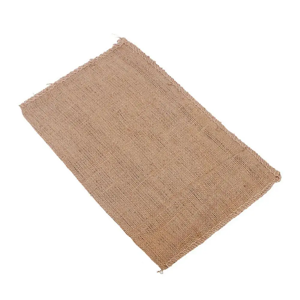 1 Pack Potato Sacks Burlap Bag - Food Storage In Roots 리뷰 및 가격
