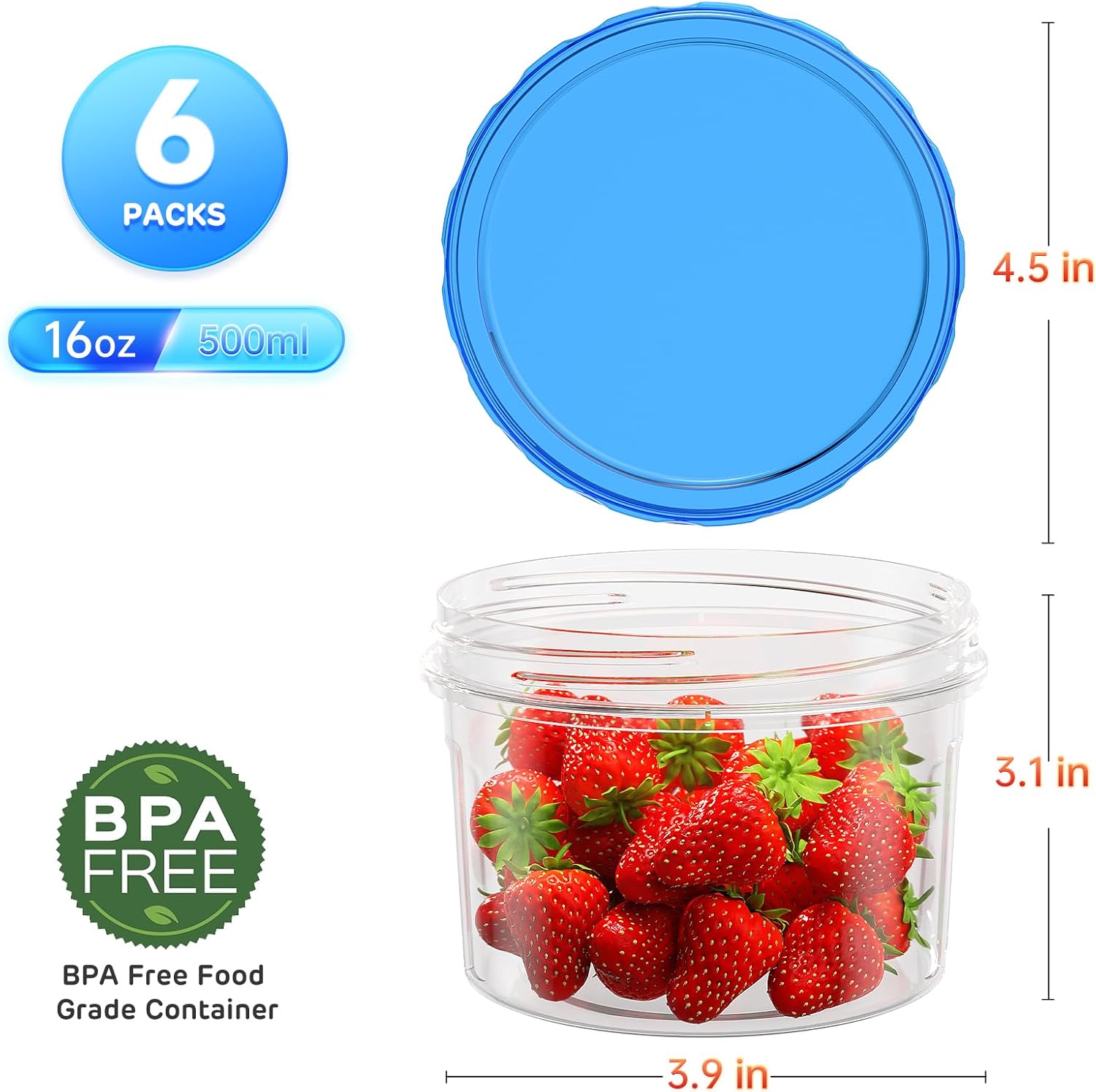 Freezer Storage Containers, [6 - Food Storage Prep Containers 리뷰 및 가격