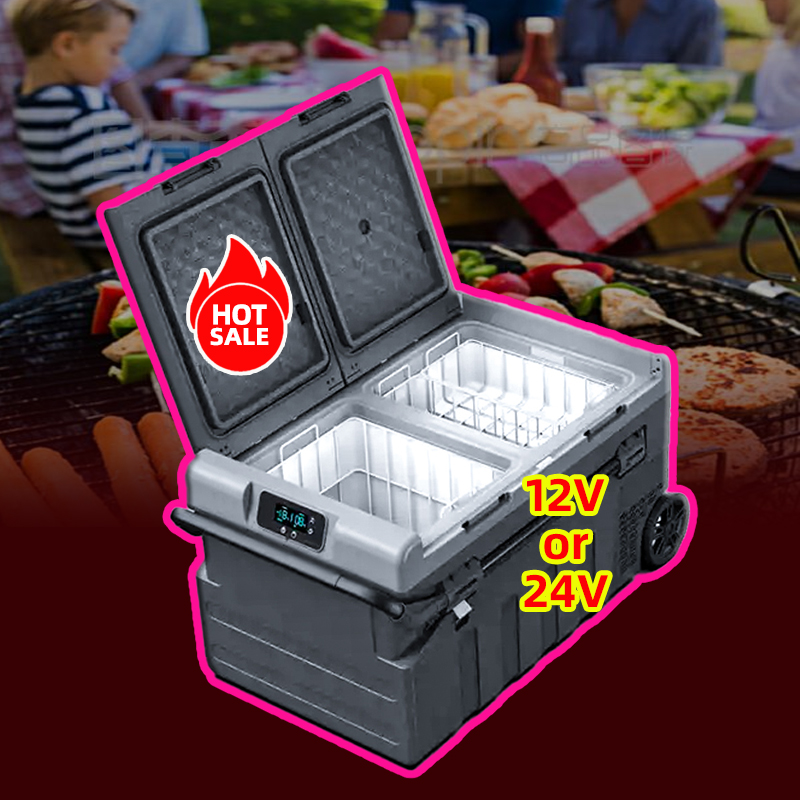 Car/Home Use 12 Volt Cooler Du - Food Storage Zone 리뷰 및 가격