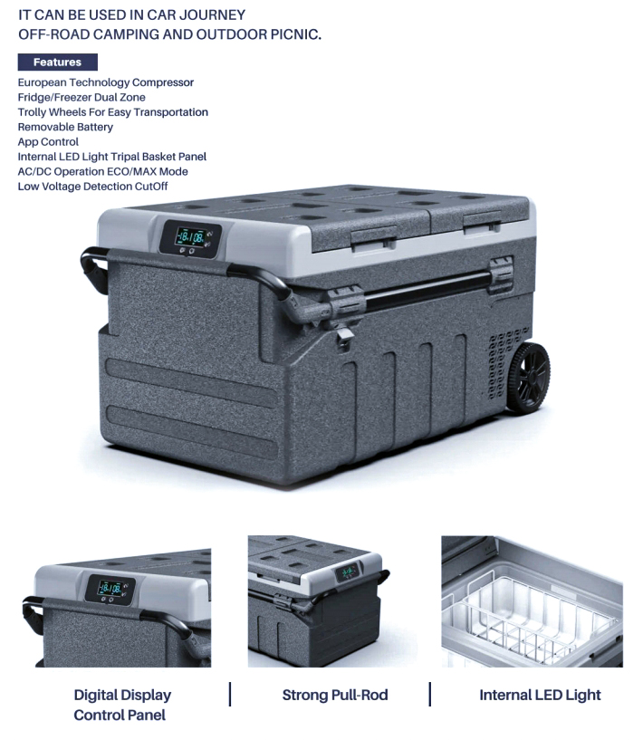 Car/Home Use 12 Volt Cooler Du - Food Storage Zone 리뷰 및 가격