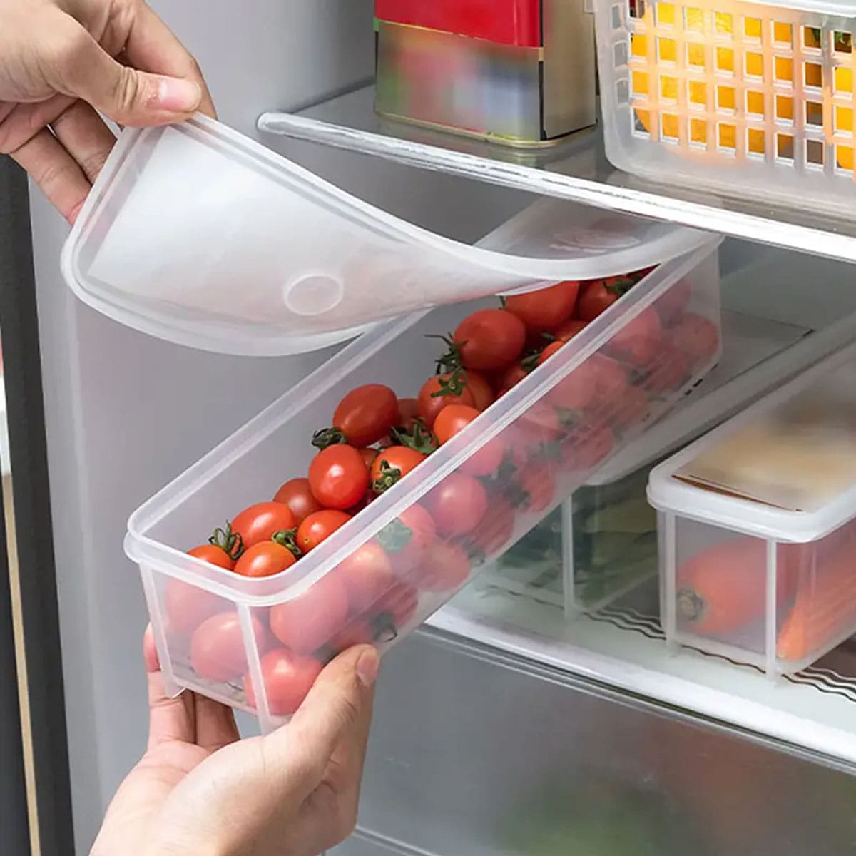 1 Plastic Transparent Storage  - Food Storage System 리뷰 및 가격
