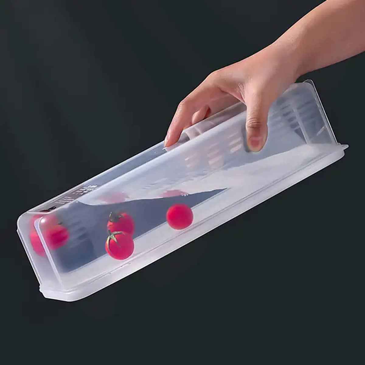 1 Plastic Transparent Storage  - Food Storage System 리뷰 및 가격